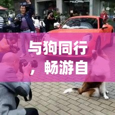 与狗同行，畅游自然城市，狗子旅行攻略大揭秘！