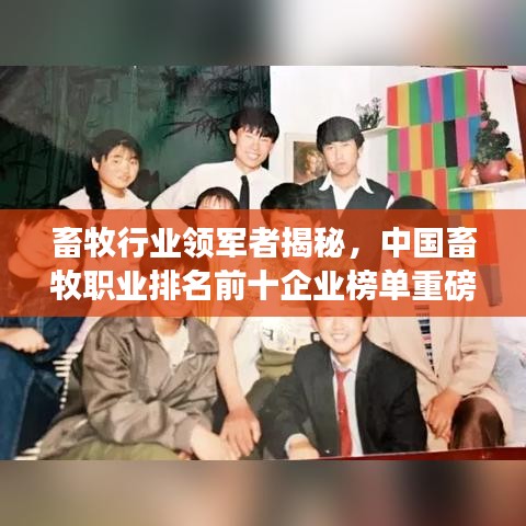 畜牧行业领军者揭秘，中国畜牧职业排名前十企业榜单重磅出炉！