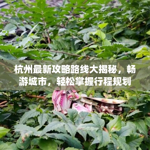 2025年6月30日 第24页