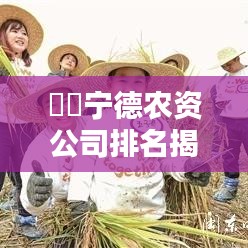 ​​宁德农资公司排名揭晓，探寻区域农资行业的领军者