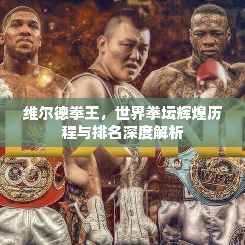 维尔德拳王，世界拳坛辉煌历程与排名深度解析